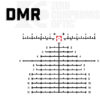 Dmr