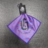Luminary guard lens cloth